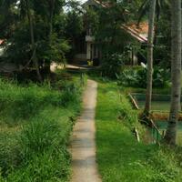 ngecaprak-horor-real-story-quotkisah-horor-nyata-ane-dan-orang-sekitarquot