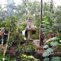 dihantam-angin-kencang-pohon-15-meter-tumbang-timpa-pendopo-kampus-uin-dan-rumah