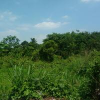 ngecaprak-horor-real-story-quotkisah-horor-nyata-ane-dan-orang-sekitarquot