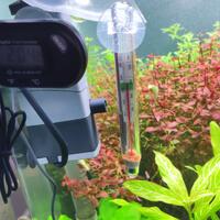 aquascape-for-everyone-learning-and-sharing---part-4