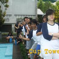 lomba17an-cup-tower