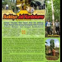 opini-pribadi-bukan-pakar--kerja-ikut-orang-vs-buka-usaha-sendiri