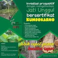 18-macam-macam-profesi-dan-gajinya-pahami-risiko