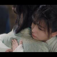 chinese-drama-fans-base