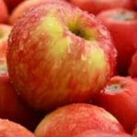 5-jenis-buah-yang-aman-untuk-makanan-burung-kicau