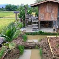 pemandangan-ala-pedesaan-dan-kebun-seperti-ini-bikin-mata-segar-kembali-ehm-fresh