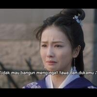 chinese-drama-fans-base