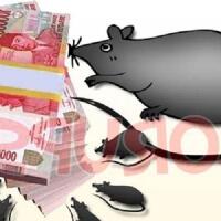 muhasabah-nasionalisme-too-long-process-towards-corruptors-of-nkri-kita-semua