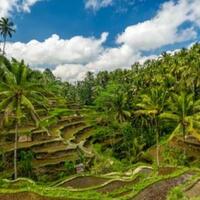 isolasi-terpadu-di-bali-kedepankan-kearifan-lokal-termasuk-lingkungan-desa