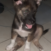 fresh-chapter-of-dear-diary---part-3