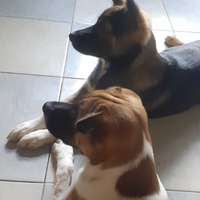 fresh-chapter-of-dear-diary---part-3