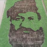 melukis-dengan-media-sawah-tanbo-art-seni-lukis-yang-membutuhkan-ketelatenan