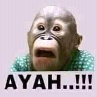 ayu-thalia-tetap-merasa-dianiaya-anak-ahok-masa-gue-jatuhkan-diri-ke-aspal