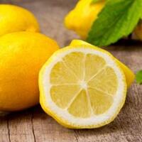 sempat-jadi-primadona-jeruk-lemon-california-nasibnya-kini