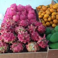 beli-buah-dapat-hadiah-peralatan-rumah-tangga-wow-mau-dong