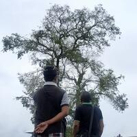 warga-cerita-kemiripan-fenomena-burung-berjatuhan-di-gianyar-2018-dan-2021
