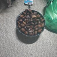 dendam-cinta-dari-masa-silam