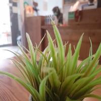 fresh-chapter-of-dear-diary---part-3