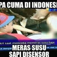 ketuakpi-pusat-diserang-warganet-gegarapelecehanbukannyaempati-malah-sibuk-disosmed