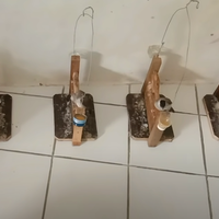 cara-menjinakkan-burung-kutilang