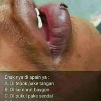 deretan-meme-berikut-ini-adalah-bukti-bahwa-perempuan-selalu-benar