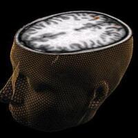 yuk-hindari-7-kebiasaan-makan-yang-buruk-bagi-otak