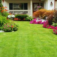 begini-enaknya-ada-rumput-di-halaman-rumah