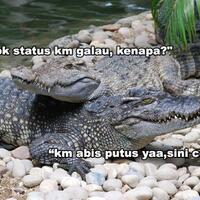 venue-paralayang-tetanggaan-dengan-kandang-buaya-atlet-diwanti-wanti-tuan-rumah