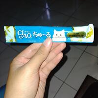 cat-lovers-kaskus-read-page-1-first---part-5