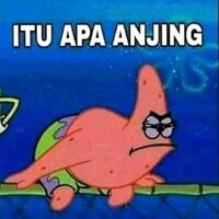 dipecat-psi-anggota-dprd-dki-viani-limardi-disebut-rutin-gelembungkan-dana-reses