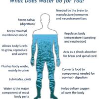 apa-yang-terjadi-kalau-tubuh-cukup-minum-air