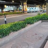 dki-target-buat-sumur-resapan-di-22-ribu-titik-tahun-ini-baru-selesai-6000