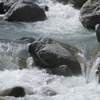 download-suara-alam-relaksasi-terapi-burung-kicau