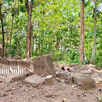 sejarah-gunung-sari-sragen-dulu-hutan-keramat-yang-dikenal-angker