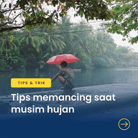 tips-memancing-saat-musim-hujan