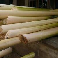 apa-yang-bisa-diperbuat-oleh-pelepah-pisang-yuklah-intip-di-sini