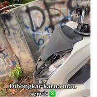 gara-gara-makhluk-kecil-ini-honda-pcx-harus-dipaksa-bongkar-kenapa