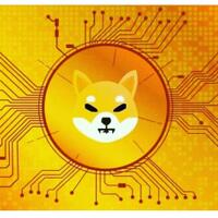 what-is-the-future-of-the-shiba-inu-cryptocurrency-coin