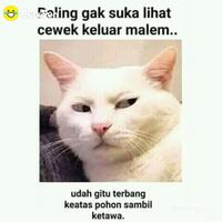 fenomena-hilangnya-quotcabe-cabeanquot