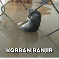 gubernur-edy-soal-banjir-kalau-bisa-udah-kusuruh-tuhan-hentikan-air