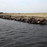 apa-kabar-proyek-giant-sea-wall-jakarta