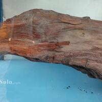 legenda-kayu-tua-di-makam-butuh-plupuh-sragen-diyakini-peninggalan-joko-tingkir