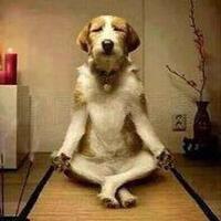 jangan-bilang-pendosa-kalau-belum-pernah-ke-kota-paling-berdosa-ini