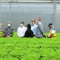 jokowi-paksa-perusahaan-sawit-tambang-bikin-pembibitan-pohon