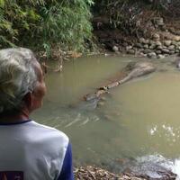 arca-ular--pengabul-hajat-sang-pejabat