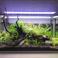 aquascape-for-everyone-learning-and-sharing---part-4