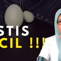 testis-kecil-apa-penyebabnya-ya-apakah-berbahaya