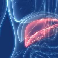 awas-hindari-asupan-ini-kalau-tak-mau-kena-penyakit-liver