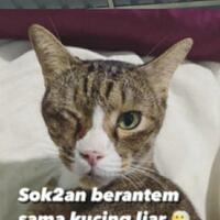 post-image