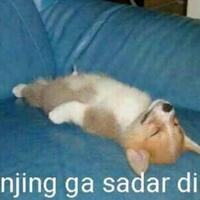 politisi-demokrat-yang-mangkrakin-hambalang-kan-presiden-jokowi